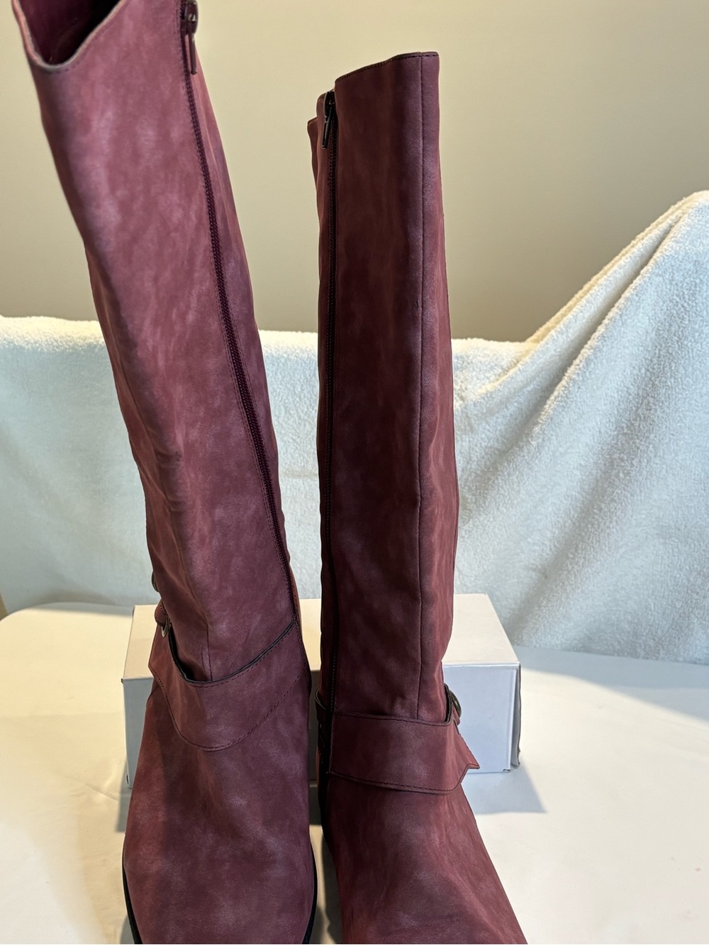 Kathie Lee Collection Tall Riding Boots in Burgundy
